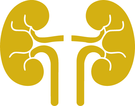 Case Icon